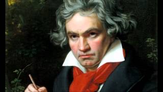 Ludwig Van Beethovens 5th Symphony in C Minor Full [upl. by Fritzie985]