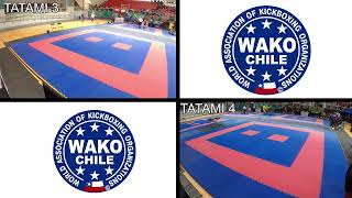 13TH PAN AMERICAN KICKBOXING CHAMPIONSHIPS  tatami 3 amp 4  Día 2 [upl. by Amlet]