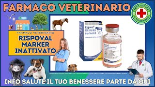 🐶 RISPOVAL MARKER INATTIVATO Farmaco Veterinario a cosa serve   Foglietto Illustrativo 👔 Dr MAX [upl. by Bonnes71]