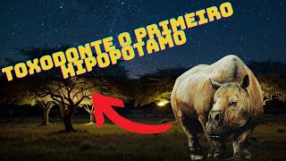 Toxodonte O Gigante Pré Histórico da América do Sul [upl. by Geraint]