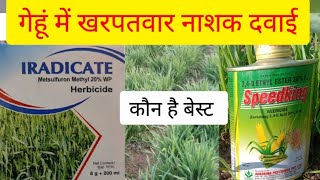 metsulfuron methyl 20 wp weedicide in wheat crop 24 D गेहूं में खरपतवार नाशक दवाईwheat ki kheti [upl. by Gibe]