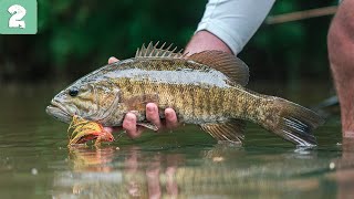 Fly Fishing for SMALLMOUTH in Alabama  BACKYARD BRONZE Ep 2 [upl. by Rodmun908]