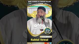 Rabiul Awwal  Qari Ahmed Ali Sahab  New Shorts  Qari Ahmed Ali Official  New Video [upl. by Ciri471]