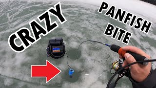 CRAZY ICE FISHING PANFISH BITE  DETROIT RIVER FISHING [upl. by Bonneau230]