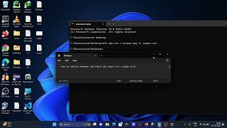 How to redirect Windows CMD stdout and stderr to Single File [upl. by Adiam959]