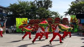 Pakwan Festival 2017 [upl. by Nadabas]