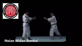 HEIAN NIDAN BUNKAI SHITO RYU [upl. by Schilit]