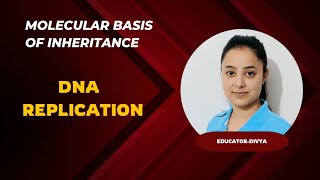 DNA Replication  Molecular Basis of Inheritance  NEET 2024  Bio  NCERT [upl. by Trevlac]