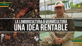 La Lombricultura o Vermicultura Una Idea Rentable  TvAgro por Juan Gonzalo Angel [upl. by Fisoi]