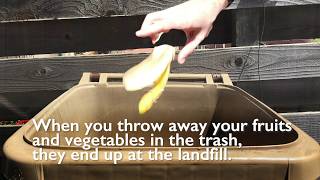 Composting Bin Public Service Announcement [upl. by Araeic320]