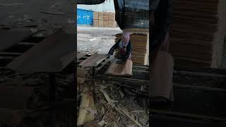 Thin plyboard making at high speed plywood furniture wood machine [upl. by Ycnuahc492]