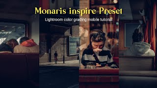 How to edit Photos like Monaris  monaris lightroom presets free download 485 [upl. by Lainahtan]