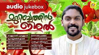 Muhabathin Ishal  Mappila Album Songs  Audio Jukebox  Vidhu Prathap  Hits Of Vidhu Prathap [upl. by Dlaner591]