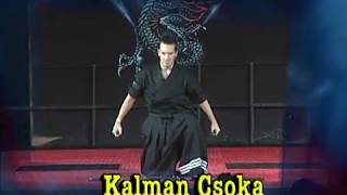 Kalman Csoka Double Sword Kata 2010 Diamond Nationals Karate Tournament [upl. by Annaear991]