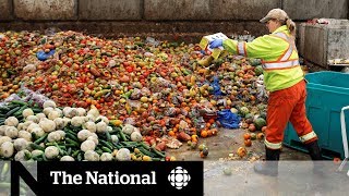 Canadians get creative in solving food waste problem [upl. by Nolek]