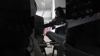 Durazno sangrando LAS cover spinetta cover versión guitarra [upl. by Ahsietal816]