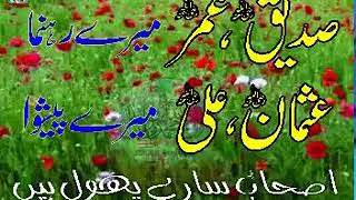 Ashab Sare Phool Hain Siddiq Umar Mere Rehnuma Beautiful Naat [upl. by Otrebide]