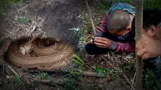 JUMBO COBRA SA PUNSO SA GUIMBA NUEVA ECIJA  JTG Kamandag [upl. by Esimorp652]