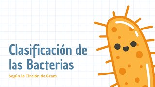 Clasificación de las bacterias  Según la tinción de Gram [upl. by Eynaffit]