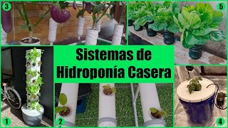 🌱​​ ​TOP 5 Sistemas de Hidroponía Casera que TÚ MISMO puedes construir paso a paso  Bricologia [upl. by Tannie]