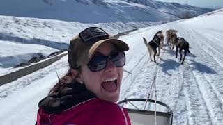 Winter dogsledding at Alaskan Husky Adventures [upl. by Neal]