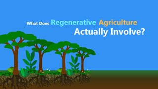 What is Regenerative Agriculture [upl. by Nedi]