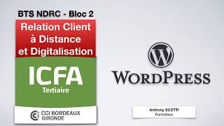 BAO  WordPress  Les pages [upl. by Warchaw428]