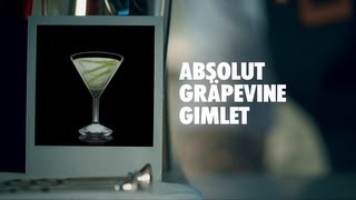 ABSOLUT GRÄPEVINE GIMLET DRINK RECIPE  HOW TO MIX [upl. by Cormac]