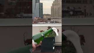 Sabering a bottle of champagne 🍾 with a coupe glass shorts youtubehighfive pop champagne [upl. by Mllly]