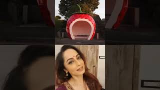 Top 10 CID officer and their fruit design bus stop 🚸 cid cid daya shreya purvi shorts [upl. by Trudnak]