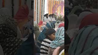 charan kamal tere dhoye dhoye piva mere satguru din dayala🙏🙏gurdwarasahibwahegurusimranviralvideo [upl. by Hseham538]