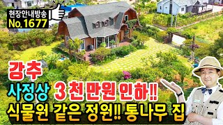 급매 사정상 3천만원 내립니다 전원주택 매매 급매물 통나무 집 건축에만 10개월 식물원 같은 정원과 정남향의 햇살 가득 다양한 과실수 있는 보령부동산  발품부동산TV [upl. by Flieger]