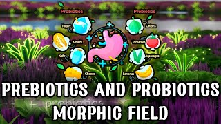 Prebiotics and Probiotics Morphic Field – Ultimate Gut Flora Optimization [upl. by Lainey]