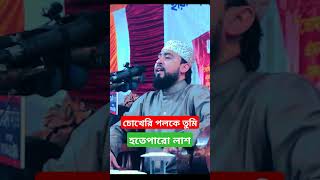 চোখেরি পলকে তুমি হতে পার লাশ। foryou mhasiburrahmannewwaz hasiburrahmangojol horts [upl. by Aylad]