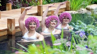 Take home trends from RHS Malvern Spring Festival chelseaflowershow gardenideas rhsgarden viral [upl. by Allenrac]