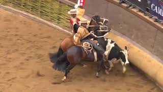 RODEO EN VIVO 36 SERIE CRIADEROS 2018 [upl. by Manville]