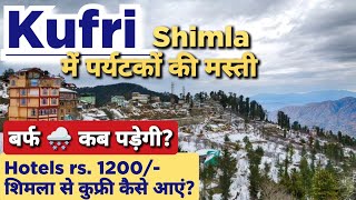 Kufri Shimla  Kufri Snowfall Update  Shimla Snowfall News kufrishimlanews travelevergreen [upl. by Wellington402]