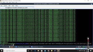 Lecture3 Converting Gridded Precipitation Data to Standard Form Using VirtualBox [upl. by Ynneg]