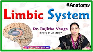 Limbic system Anatomy  Cortical component Subcortical components Circle of Papez [upl. by Sirrah]