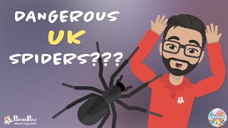 Are UK Spiders Dangerous [upl. by Romeyn219]