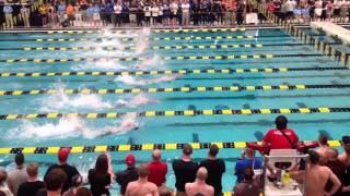 Caeleb Dressel Goes 1839 in 50Free at 2016 SEC Championships [upl. by Garcia]