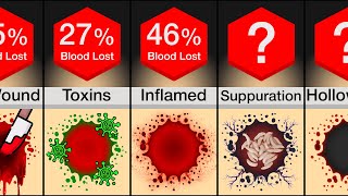 Timeline What If You Kept Losing Blood [upl. by Valdemar]