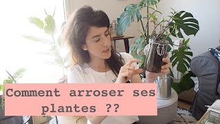 Arrosage Plantes dintérieur  Quand amp Comment les arroser [upl. by Rainger]