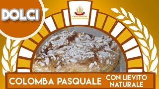 Colomba Pasquale con Lievito Naturale [upl. by Osmund]