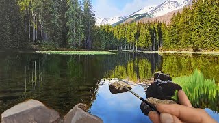 Lake Reflections Oil Painting  Time Lapse  Episode 175 [upl. by Fari165]