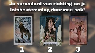 Je veranderd van richting en je lot veranderd daarin mee [upl. by Merriott]