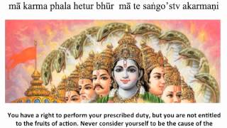 Bhagavad Gita Chapter 2  Verse 47 [upl. by Wivinah]