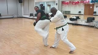 light kenpo karate sparring [upl. by Ferro687]