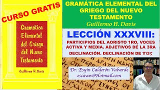 LECCIÓN 38A GRIEGO KOINÉ G DAVIS PARTICIPIOS AORISTO TERCERA DECLINACIÓN ADJETIVO πας πάσα πάν [upl. by Combes866]