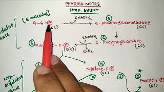 HMP SHUNT TRICKS  BIOCHEMISTRY  METABOLISM OF CARBOHYDRATES  PHARMACY EXAM  GPAT  NIPER  MBBS [upl. by Gulick]